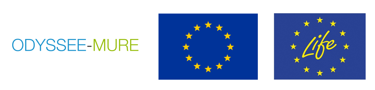 Logo ODYSSEE-MURE i Unii Europejskiej